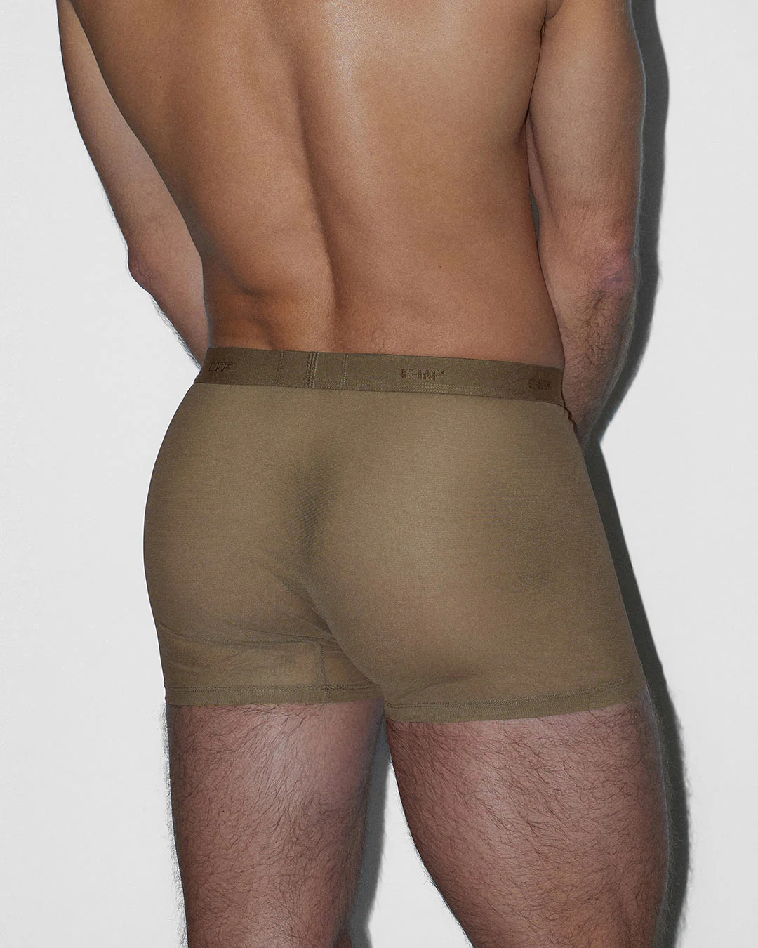 Sheer Boxer Brief Dark Nude - Image 3